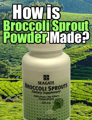 How is Broccoli Sprout Powder Made?
