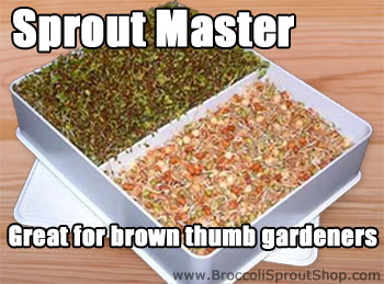 Sprout Master