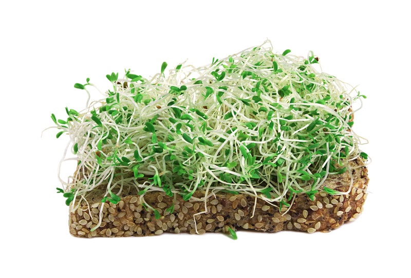 Sprouts on Bread