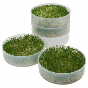 Victorio Seed Sprouter Stackable Trays