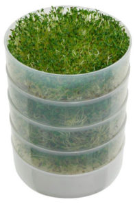 4 Victorio Stackable Trays for Growing Sprouts