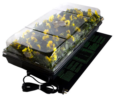 Broccoli Seed Germination Tray and Mat
