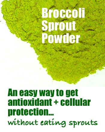 Broccoli Sprout Powder, an easy way to get antioxidant and cellular protection without having to eat a bunch of sprouts