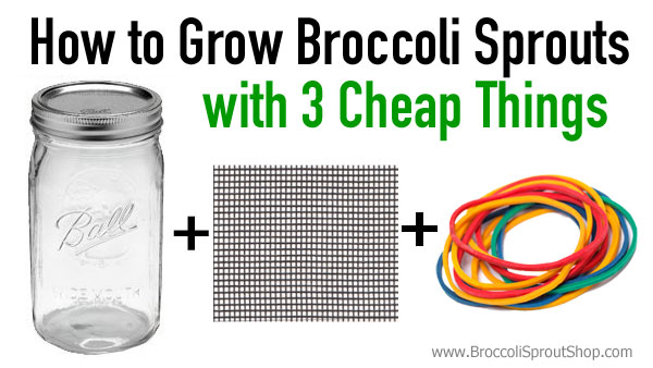 Sprouting Jar for Growing Broccoli Sprouts