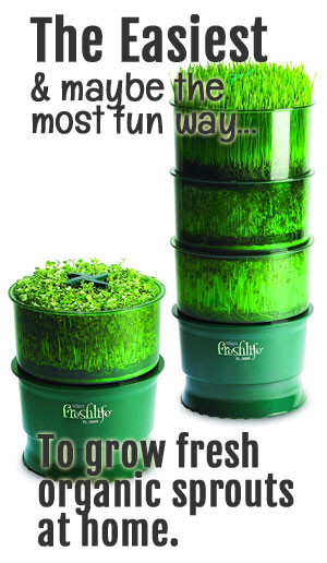 Freshlife 3000 Automatic Sprouter for growing broccoli sprouts at home