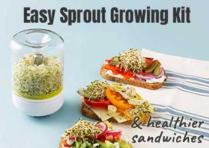 Easy Sprout Growing Kit