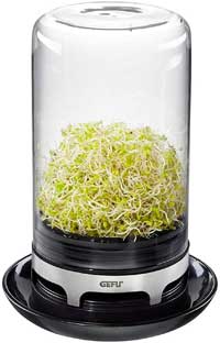 Gefu Glass Jar Seed Sprouter for Growing Broccoli Sprouts
