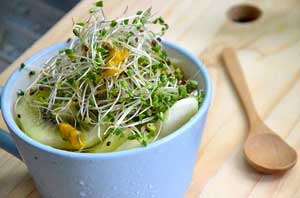 Salad with Fresh Home Grown Broccoli Sprouts on Top